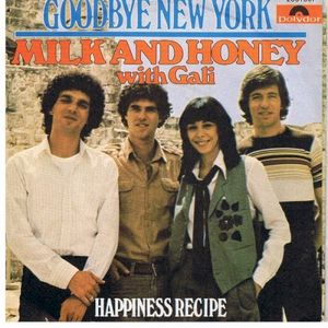 Goodbye New York / Happiness Recipe (Single)