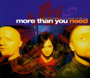 More Than You Need (Single)