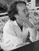 Yann Andréa