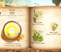 image-https://media.senscritique.com/media/000023111757/0/yoshi_and_the_mysterious_book.jpg