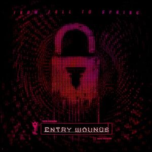 ENTRY WOUNDS