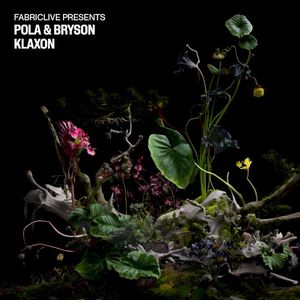 Klaxon (Single)