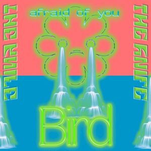 Bird / Afraid of You (Single)