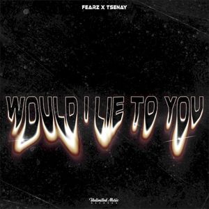 Would I Lie To You (Single)