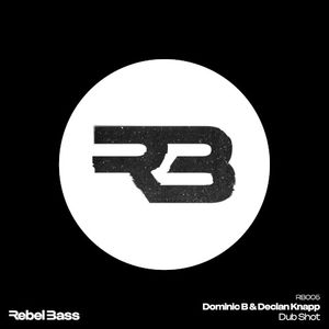 Dub Shot (Single)