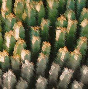 Geeks on Hubbard EP (EP)