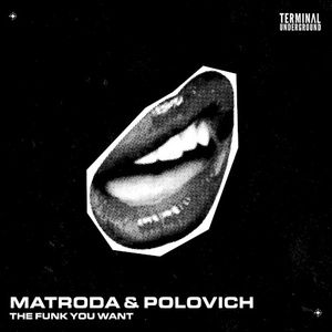 The Funk You Want (Single)