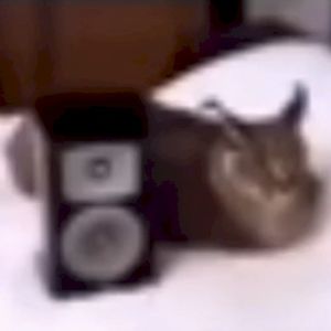 音量を上げろ！
