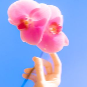 i couldn't hold back (Single)