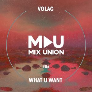 What U Want (Single)