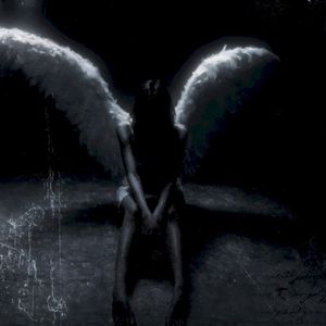 velour wings (Single)