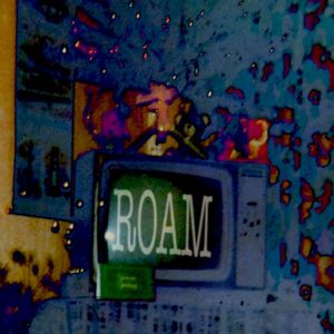Roam (Single)
