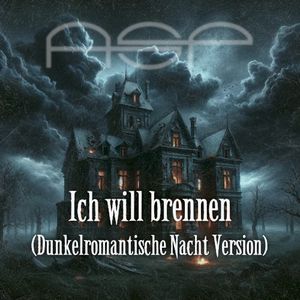 Ich will brennen (Dunkelromantische Nacht Version) (Single)