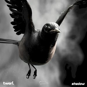 Shadow (Single)