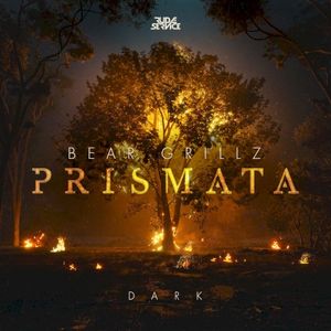 Something Real (Single)