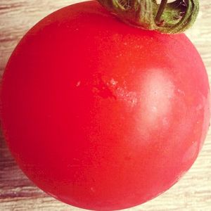 pomodorosa