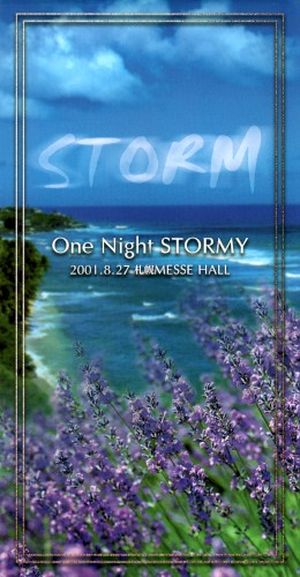 One Night STORMY