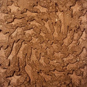 Unerthed: Hole Erth Unplugged