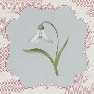 死が僕らに恋してる (Single)