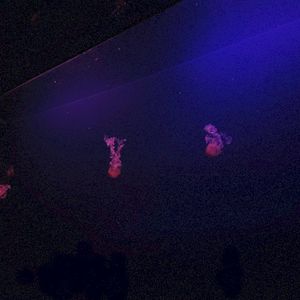 Little Bit of Time (Single)
