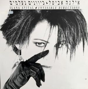 כיוונים נעלמים