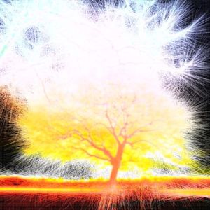 Assignment: Understood (Single)
