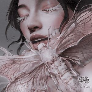 Nothing Remains (Single)