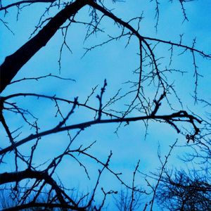 Solace (Single)