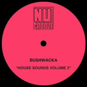 House Sounds, Vol. 2 (EP)