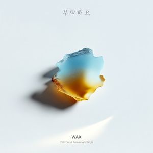 부탁해요 (RE:WAX) (Single)