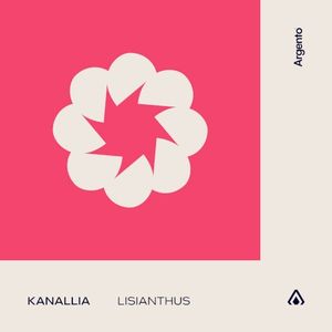Lisianthus (Single)