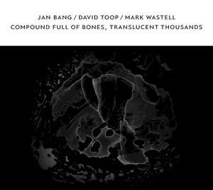 Compound Full of Bones, Translucent Thousands
