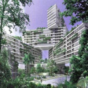 The Interlace