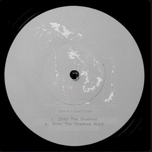 Into The Shadows (Single)