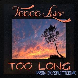 Too Long (Single)