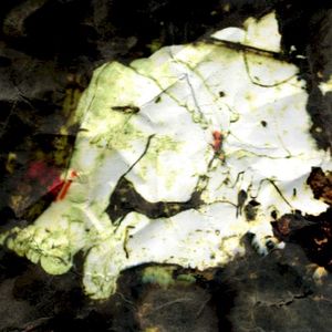 LEGO (Single)