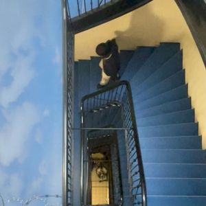 Treppenhaus (Single)