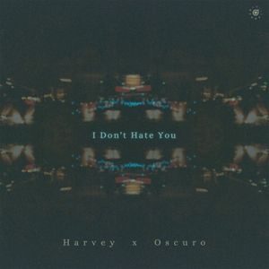 I Don't Hate You (Single)