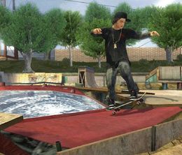 image-https://media.senscritique.com/media/000023133870/0/tony_hawk_s_project_8.jpg