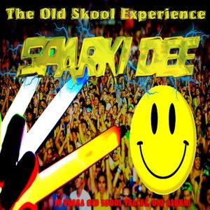 The Old Skool Experience