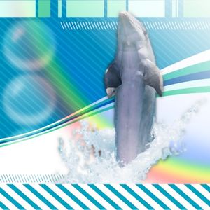 Fruity Guerrero (Single)