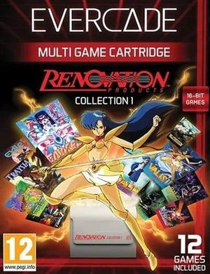 Renovation Collection 1