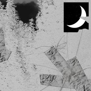 I'm the Only Little Light You'll Need (EP)