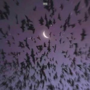 BLITZ ONNA BEAT (Single)