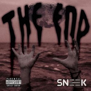 The End (Single)