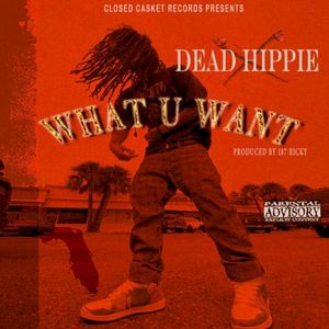 What U Want (Single)