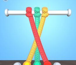 image-https://media.senscritique.com/media/000023139090/0/tangle_master_3d.jpg