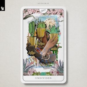 Undivided (Single)