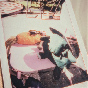 Les derniers mots de Marpa - The Burmese Days