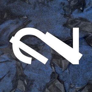 Fever Dream (Single)